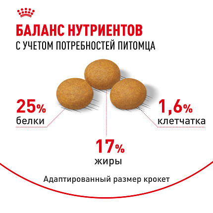 Сухой корм Royal Canin Maxi Dermacomfort для взрослых крупных пород 10 кг